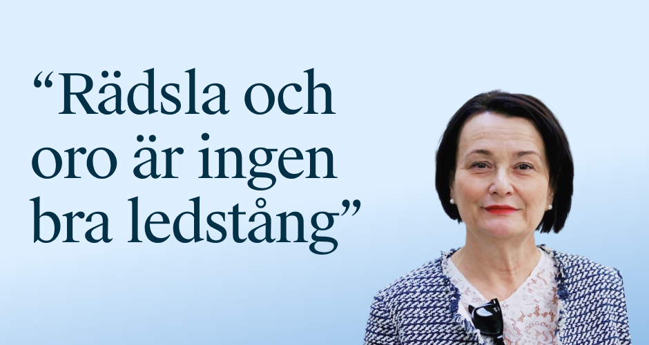 Maria Elmér, Cosafe, om nya Skollagen kapitel 6 a